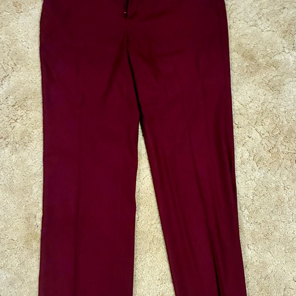 Banana Republic Maroon Trousers